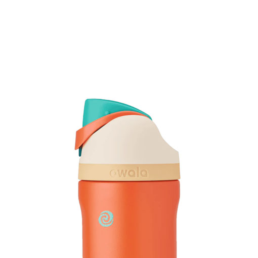 Disney Princess Collection - Moana - 24oz